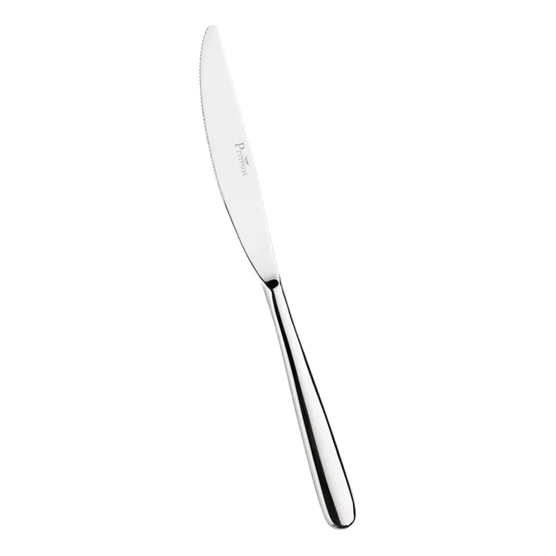 Compra Online Pintinox Numa Coltello Tavola In Acciaio Inox Forgiato - Set 12 Pz