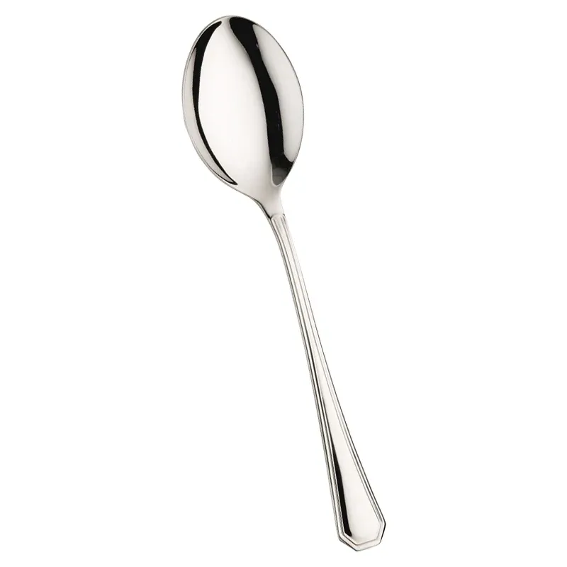 Reso Gratuito Pintinox America Cucchiaione Servire In Acciaio Inox