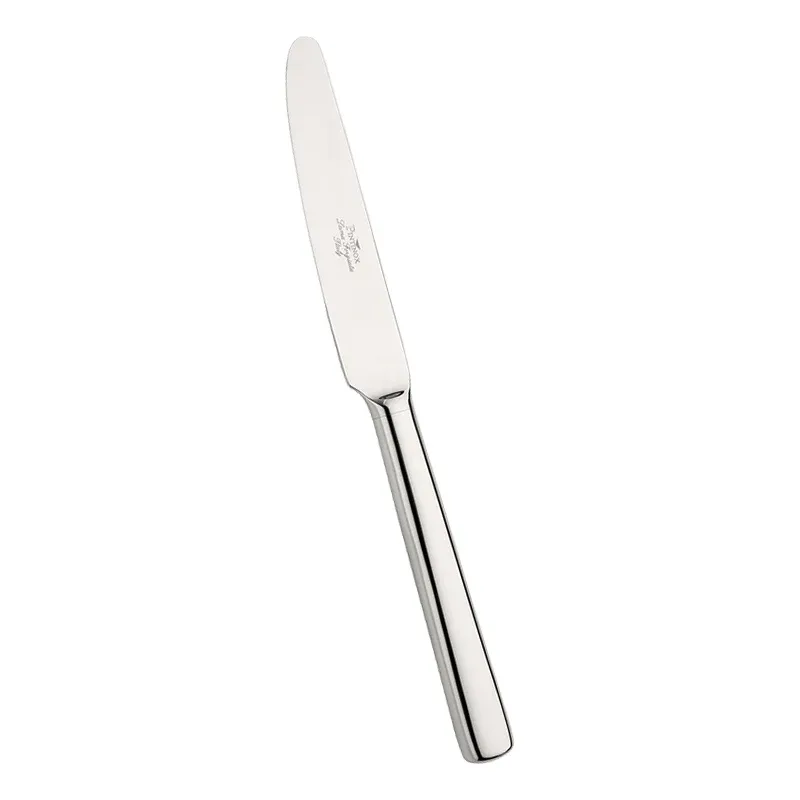Pintinox Millenium Coltello Tavola In Acciaio Inox - Set 12 Pz Ultima Occasione