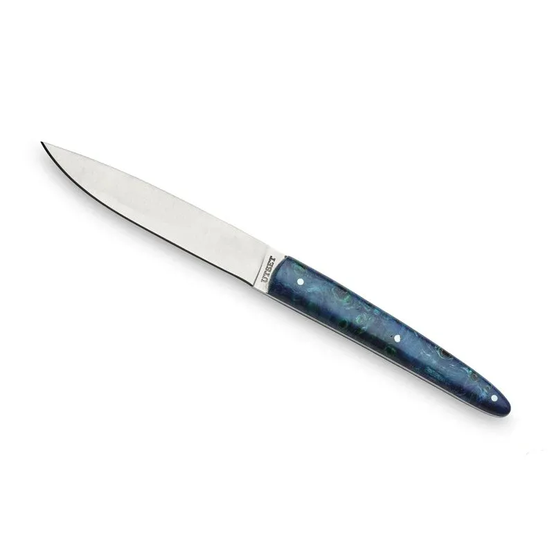 Comas Utset Coltello Bistecca In Acciaio Inox - Set 6 Pz Professionale