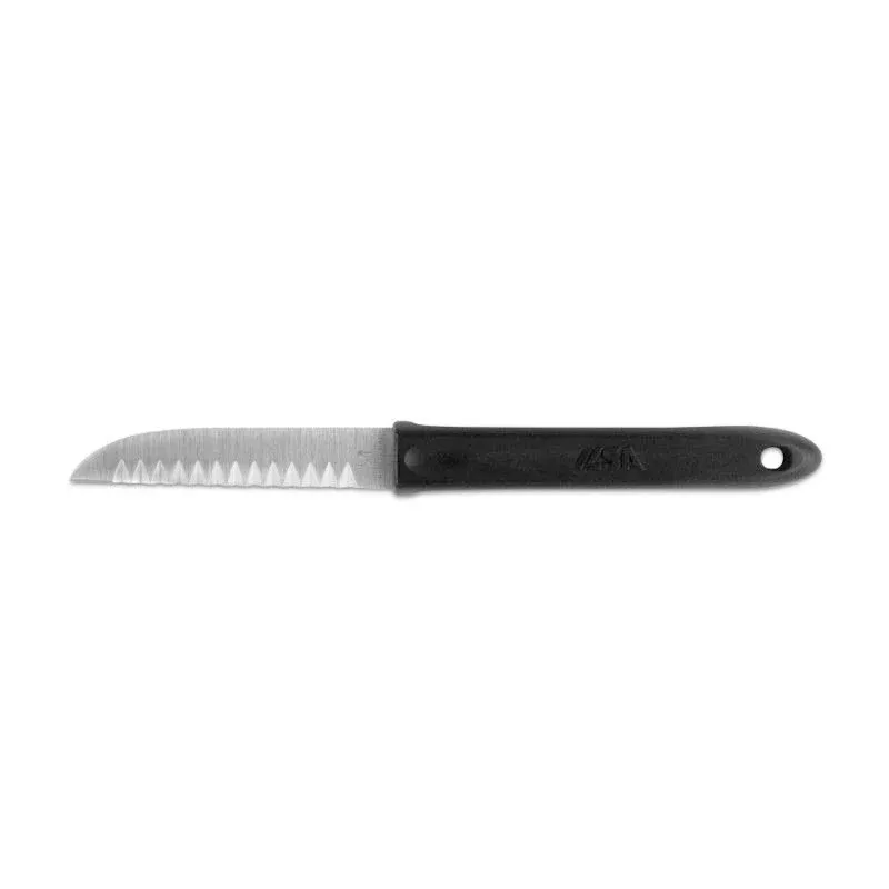Ilsa TuttiXUno Coltello Da Intaglio In Acciaio Inox - Nylon Offerta Limitata