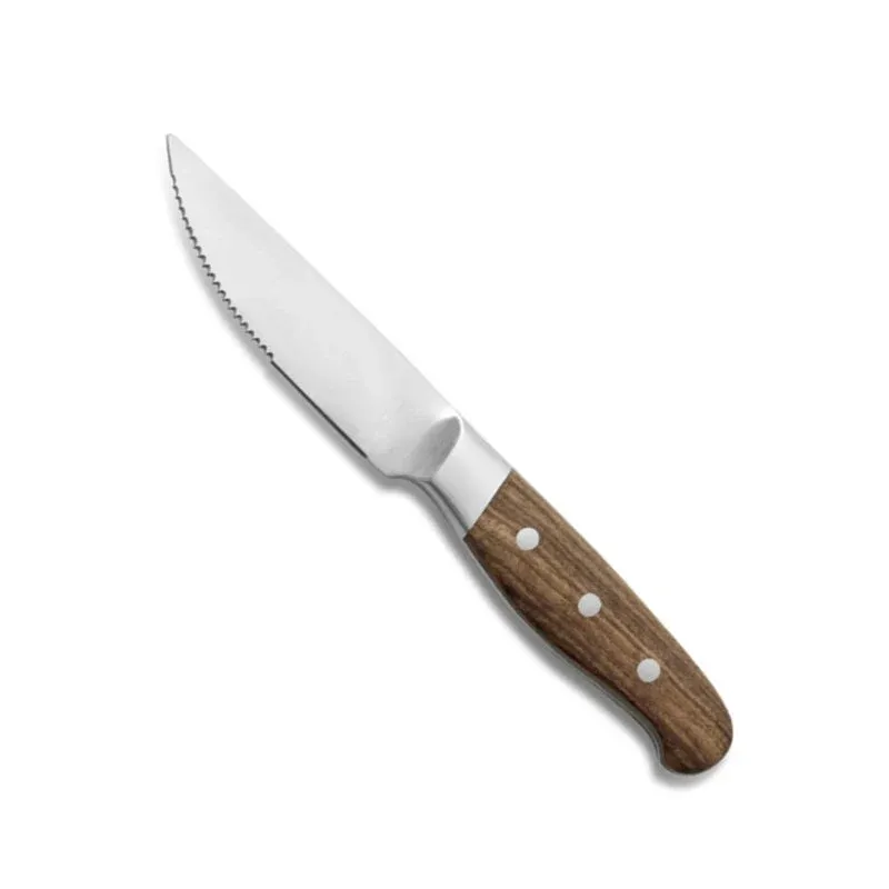 Comas Aconcagua Coltello Bistecca In Acciaio Inox - Set 6 Pz Professionale