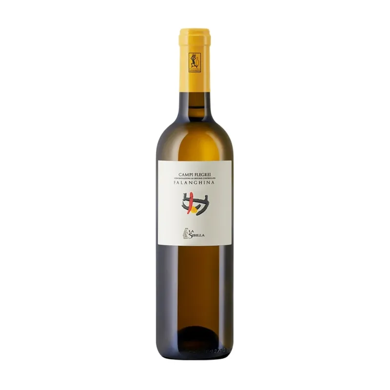 Falanghina Campi Flegrei DOC 2024 - La Sibilla Professionale