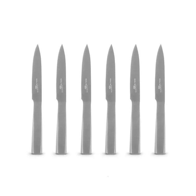 Promo Stagionale MONOLITE SET 6 COLTELLI BISTECCA INOX