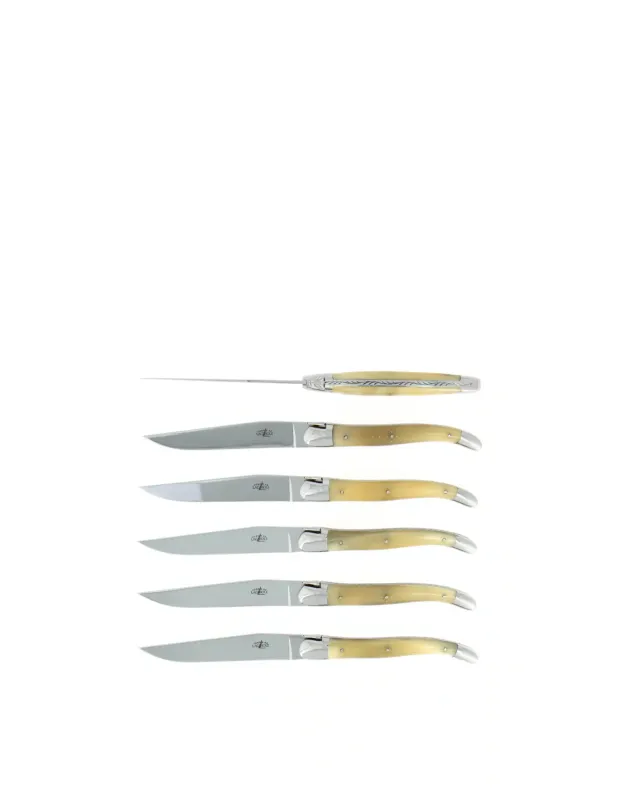 Compra Online Forge De Laguiole Set di 6 coltelli da tavola in acciaio inossidabile e corno