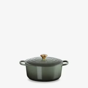 Le Creuset Evolution Cocotte Rotonda 28cm Spedizione Espresso