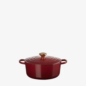 Occasione Le Creuset Cocotte Rotonda Evolution 26Cm