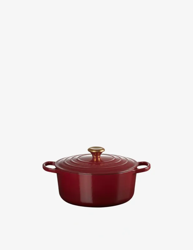 Occasione Le Creuset Cocotte Rotonda Evolution 26Cm