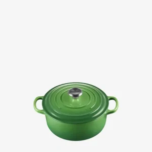 Le Creuset Cocotte rotonda Evolution 20cm Professionale