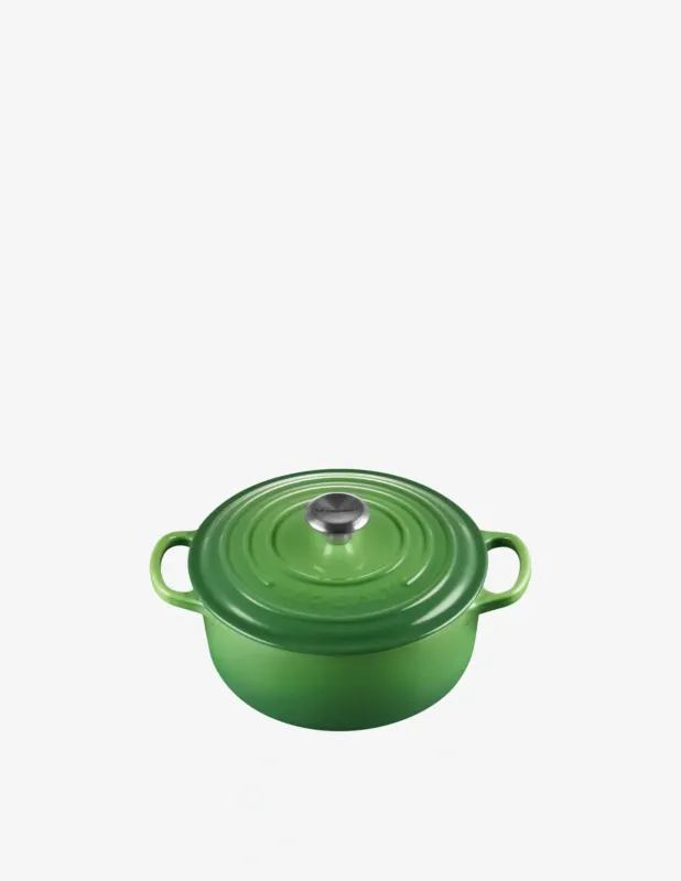 Le Creuset Cocotte rotonda Evolution 20cm Professionale