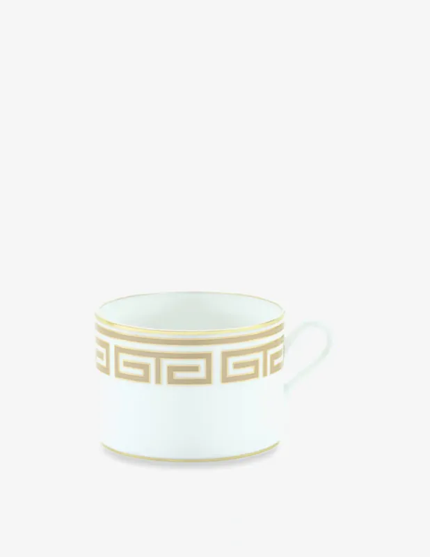 Ginori 1735 Tazza tè Labrinto Cachemere Professionale