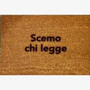 Insulti Luminosi Scemo chi legge Zerbino Spedito Oggi