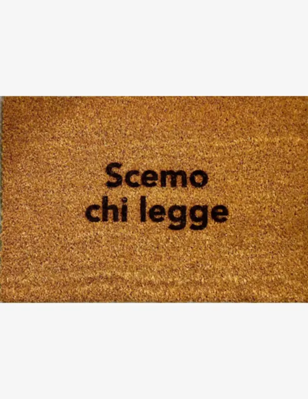 Insulti Luminosi Scemo chi legge Zerbino Spedito Oggi
