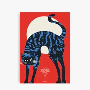Compra Oggi Stesso Ciao Discoteca Italiana La Gatta Poster