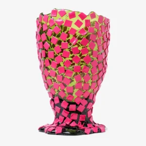 Fish Design Vaso Rock Consegna Rapida