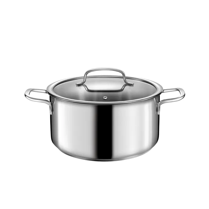 Offerta Lampo CASSERUOLA CON COPERCHIO 24 CM