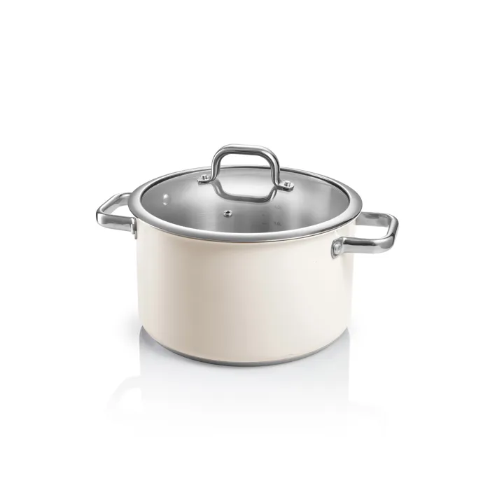 Ultima Occasione PENTOLA CON COPERCHIO 24 CM