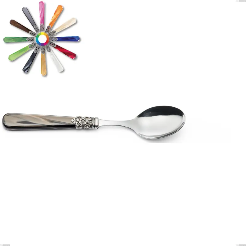 Cucchiaio tavola Ginevra, (acciaio 18.10 aisi304), manico in nylon, Lunghezza 209 mm Eme Posaterie marrone perlato 1124 Promozione