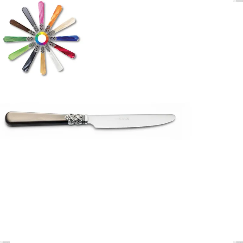 Economico Coltello frutta Ginevra, (acciaio 18.10 aisi304), manico in nylon, Lunghezza 201 mm Eme Posaterie marrone perlato 1124