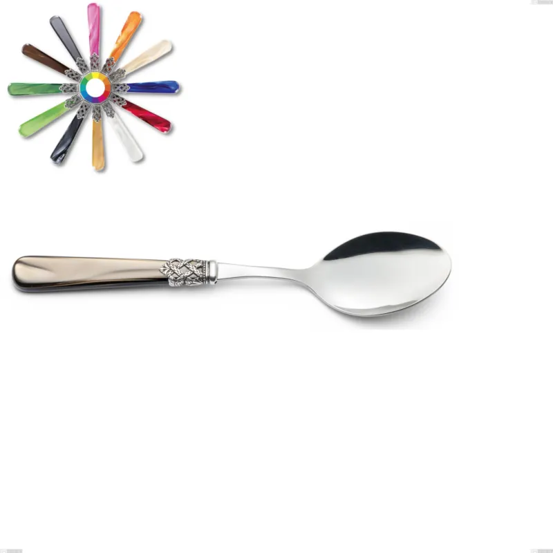Cucchiaio da servizio Ginevra, (acciaio 18.10 aisi304), manico in nylon, Lunghezza 236 mm Eme Posaterie marrone perlato 1124 Ultima Occasione