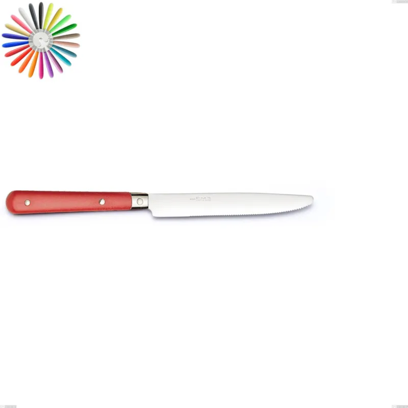 Professionale Coltello da tavola COUNTRY in acciaio 18.10 manico in rivettato lavabili in lavastoviglie Eme Posaterie blu 2