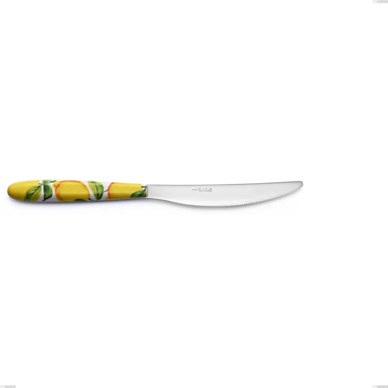 Miglior Prezzo Coltello tavola Vero Sorrento, acciaio 18.0 nickel free, manicatura pbt sublimato acciaio lucido, lunghezza 225 mm Eme Posaterie