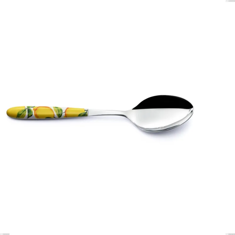 Promo Stagionale Cucchiaio da servizio Vero Sorrento, acciaio 18.0 nickel free, manicatura pbt sublimato acciaio lucido, lunghezza 250 mm Eme Posaterie