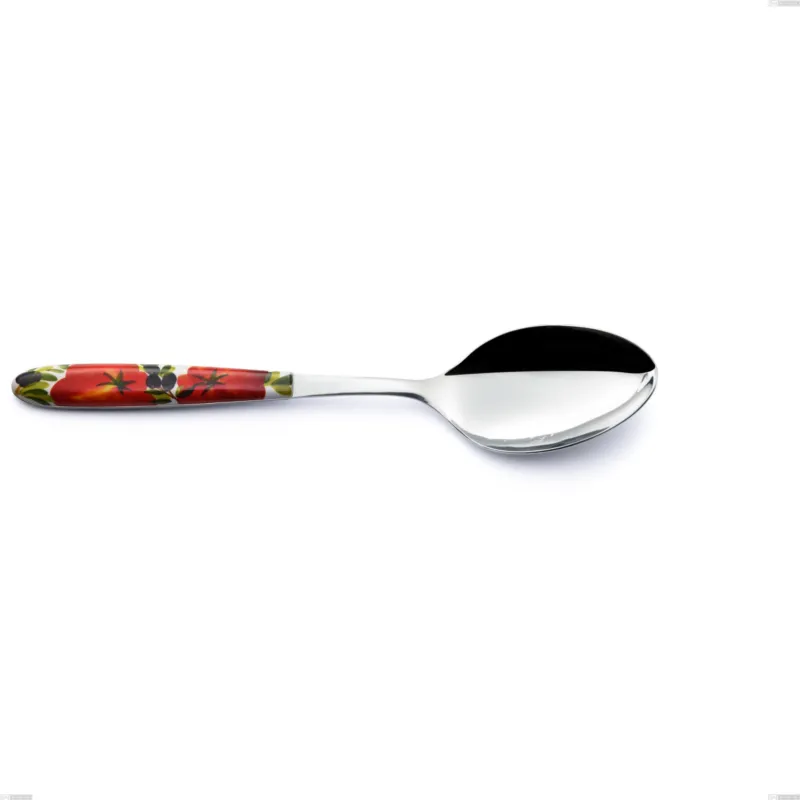 Cucchiaio da servizio Vero Albenga, acciaio 18.0 nickel free, manicatura pbt sublimato acciaio lucido, lunghezza 250 mm Eme Posaterie Occasione Imperdibile