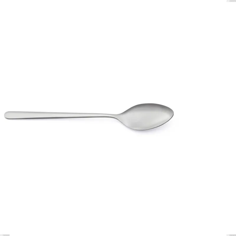 Spedizione Espresso Cucchiaino frutta venice sabbiato, Acciaio inox Aisi 304 Posate sabbiate, spessore 4 mm, lunghezza 200 mm Eme Posaterie