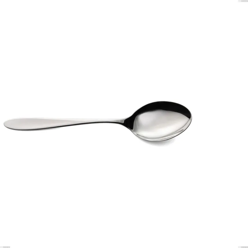 Nuova Collezione Cucchiaio da servizio oasi, Acciaio inox Aisi 304 Posate Lucide, spessore 2 mm, lunghezza 243 mm Eme Posaterie