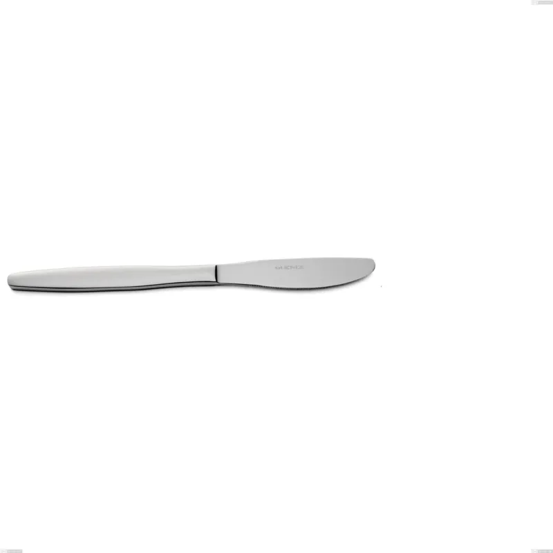 Offerta Del Giorno Coltello tavola Beme acciaio 18/O Nichel Free, (Acciaio 18/0) Acciaio Lucido, spessore 2 mm mm, lunghezza 200 mm Eme Posaterie