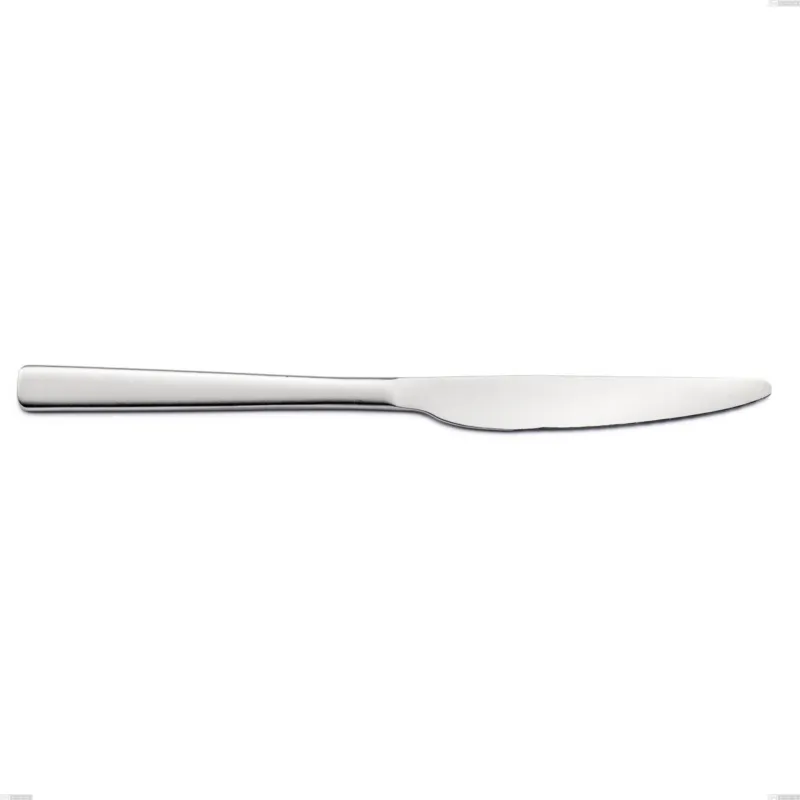 Solo Oggi Coltello tavola infinity Sabbiato , Acciaio 18/10 (aisi 304 ) incisione laser, spessore 2.5 mm, lunghezza 242 mm Eme Posaterie