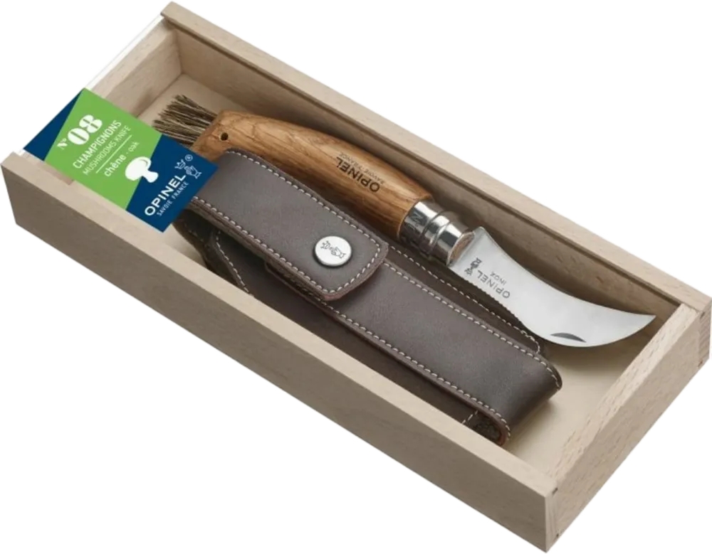 Promozione Esclusiva Coltello a Serramanico da Funghi Plumier N°08 in Quercia con Custodia