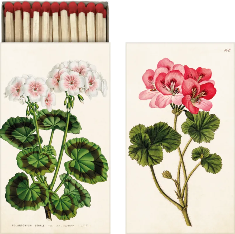 Solo Oggi Fiammiferi - Pelargonio