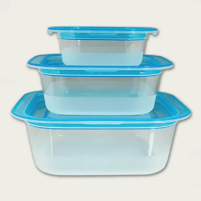 Set 3 Contenitori Rettangolari Fresco Box Transparency In Plastica,celeste Professionale