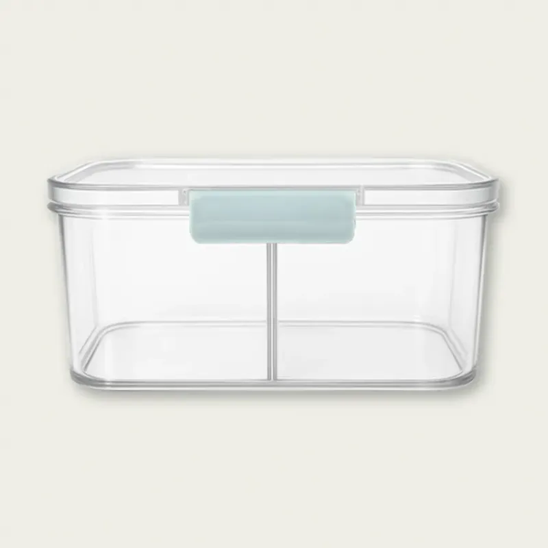 Miglior Prezzo Contenitore Rettangolare Doppio Scompartimento Fresco Box Con Coperchio In Plastica,celeste