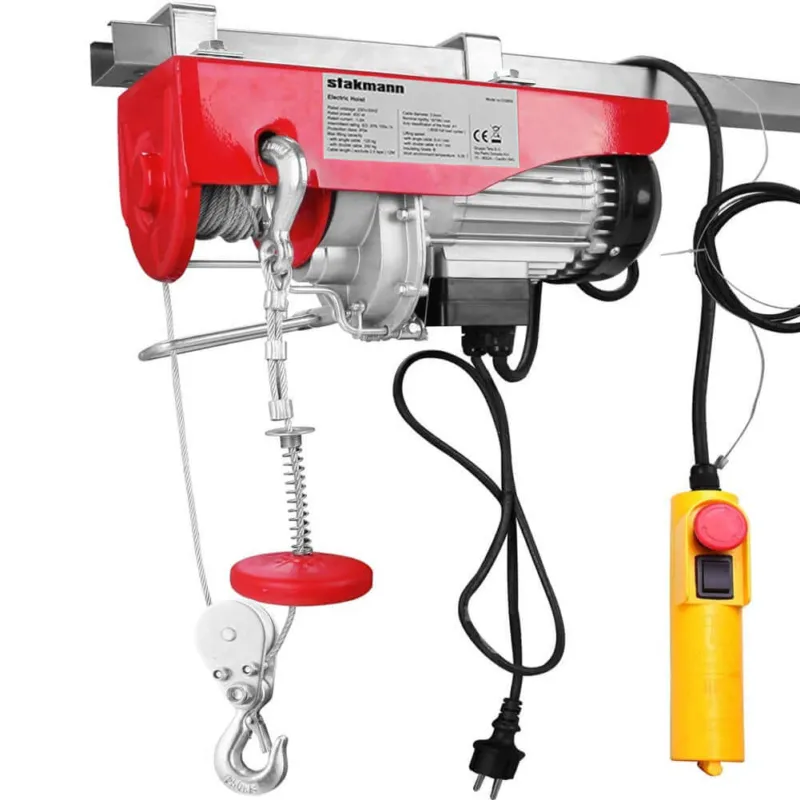Non Perdere Paranco Elettrico Argano Montacarico Verricello Sollevatore Carico 125 / 250 kg