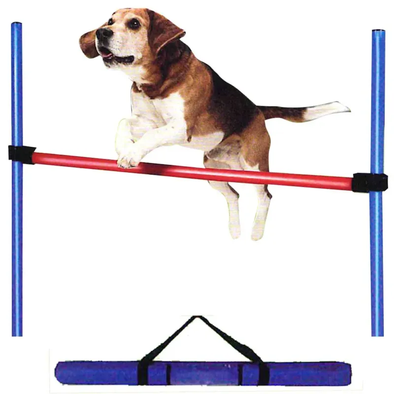 Ostacolo Addestramento Cani Agility Dog Allenamento Gioco Salto Cane 85cm Compra Adesso