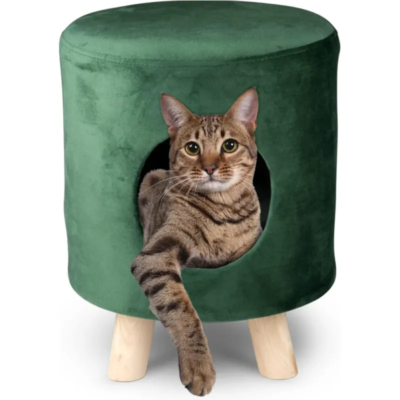 Sgabello con Cuccia per Gatti max 80kg Pouf in Velluto Verde 33x44cm Piedi Legno Soddisfatti O Rimborsati
