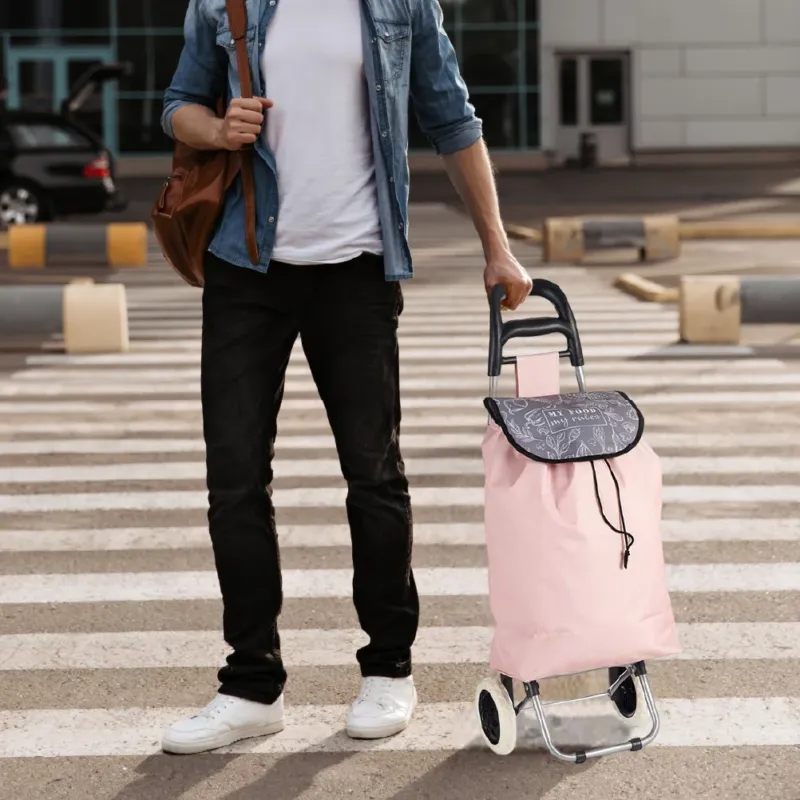 Carrello Portaspesa con Manico e 2 Ruote in Metallo Zincato Borsa da 33LT Rosa Affare
