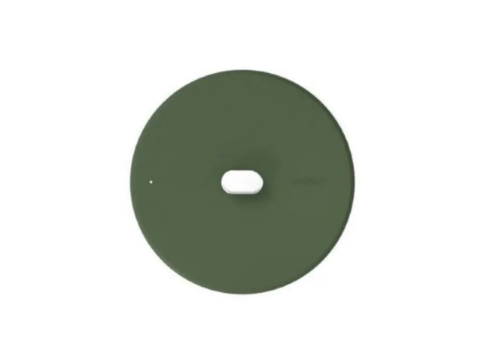 Coperchio meravigliosa 24 cm - felce Offerta Lampo