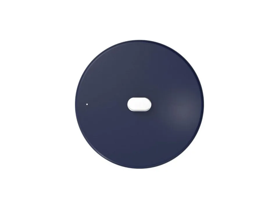 Offerta Lampo Coperchio meravigliosa 28 cm - mirtillo