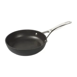 Consegna Rapida Ballarini alba padella 20 cm
