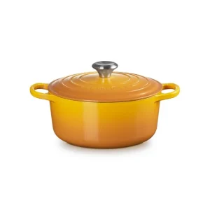 Evolution, cocotte rotonda 24 cm in ghisa vetrificata - nectar Offerta