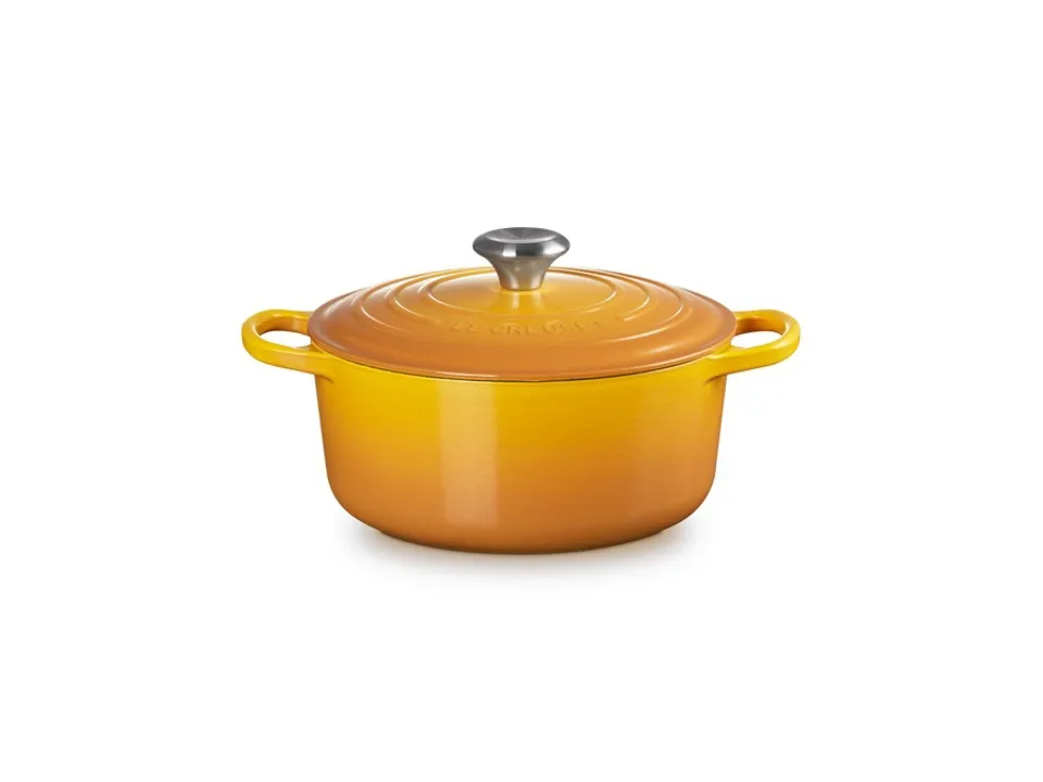 Evolution, cocotte rotonda 24 cm in ghisa vetrificata - nectar Offerta