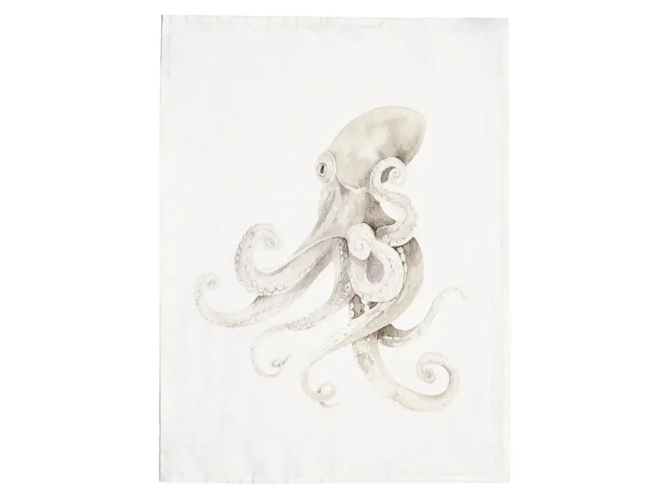 Offerta Del Giorno Canovaccio lino 50x68 cm, bianco polpo