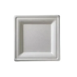 Piatto bio 20x20 - 50 pezzi Novità