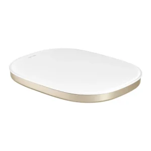 Zwilling - Bilancia da cucina enfinigy ricaricabile digitale 10 Kg oro Miglior Prezzo