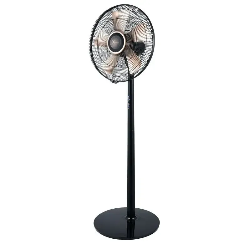Ardes 5D41PRB Nero, Oro Promozione