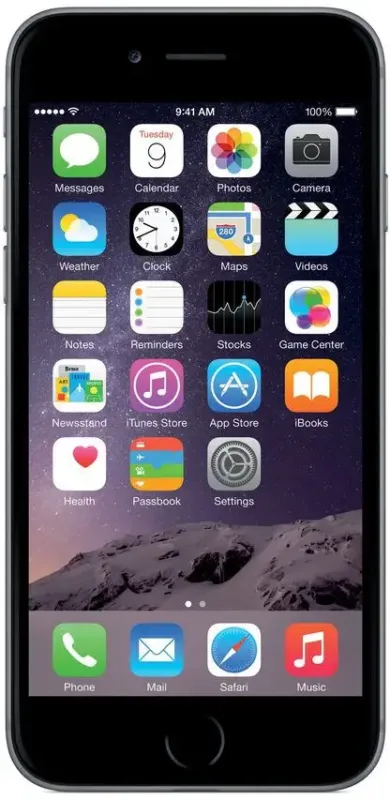 Esclusivo Apple iPhone 6 64GB Space Gray